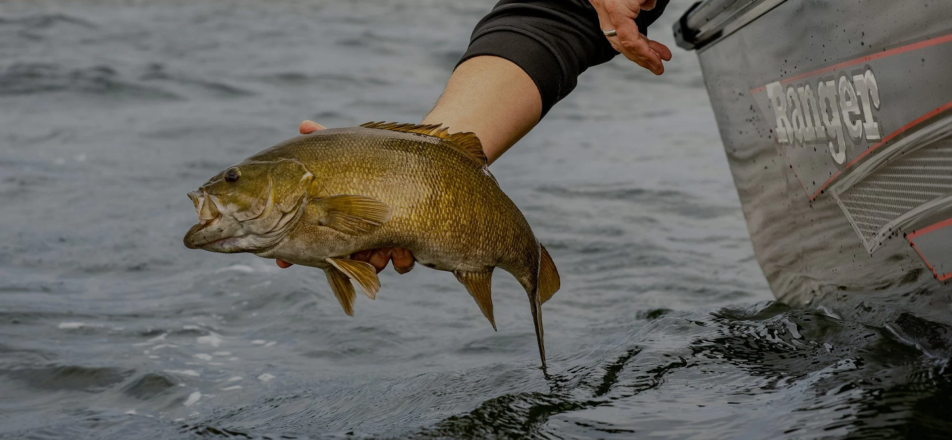 Master Every Catch with KastKing